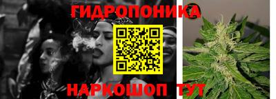 кокс Кандалакша