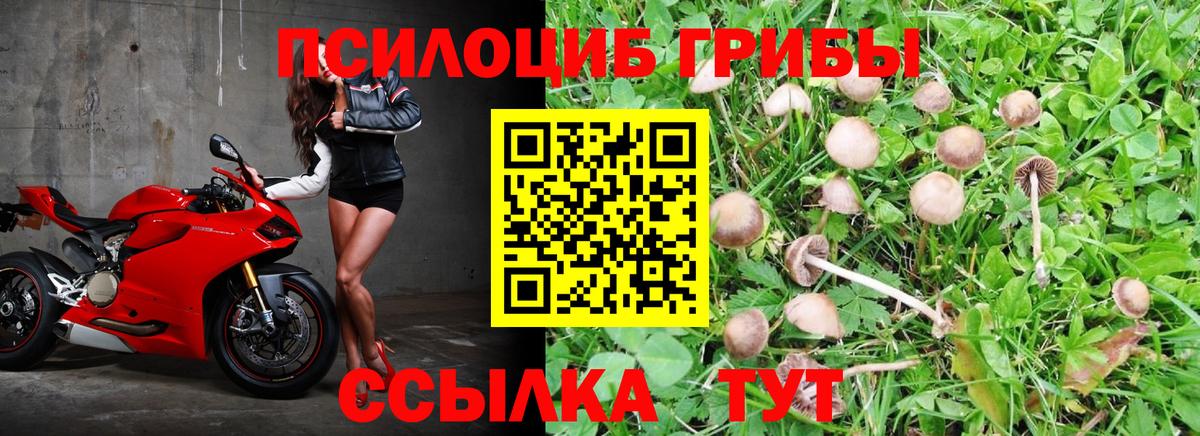 Псилоцибиновые грибы прущие грибы Якутск