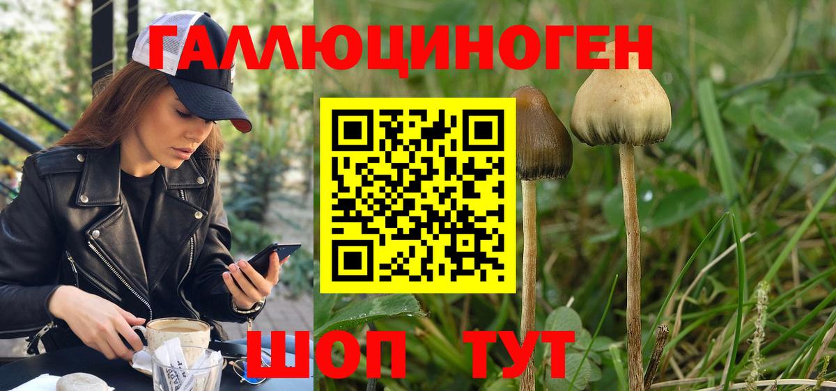 Псилоцибиновые грибы GOLDEN TEACHER  Вход с VPN  Псилоцибиновые грибы MAGIC MUSHROOMS  Якутск 